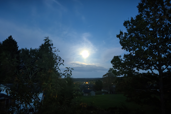 img_activite_arrays/25220_Regate_du_Roi/IMG_20241016_192249.png